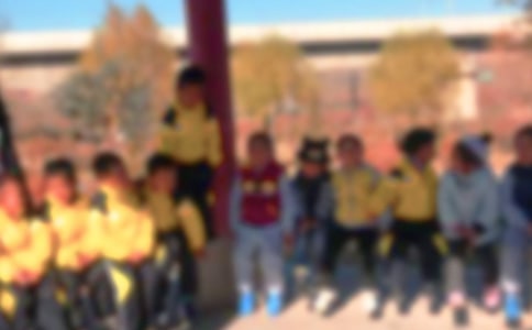 ����ѡ�����꼶�������ļ���ʮƪ