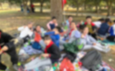 秋游活动总结(集合14篇)