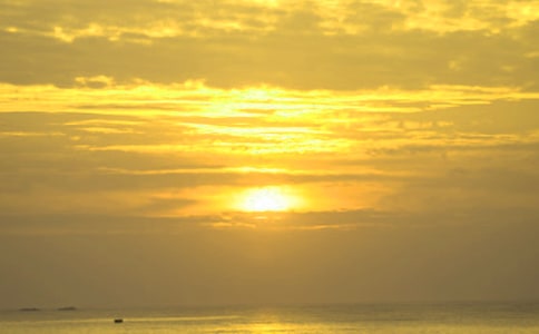 �ճ�����������������