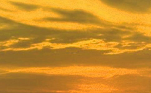 �������������꼶����5ƪ