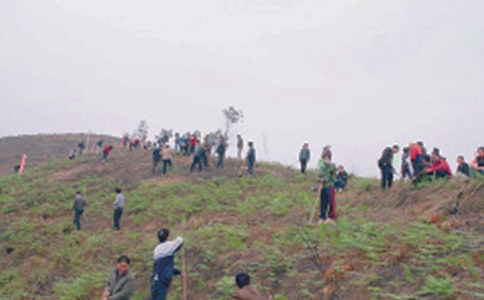 【精品】四年级扫墓作文汇总九篇