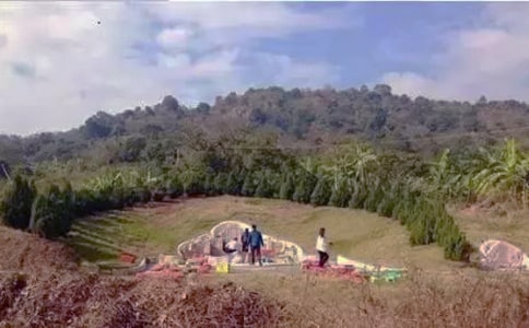 ɨĹ�����