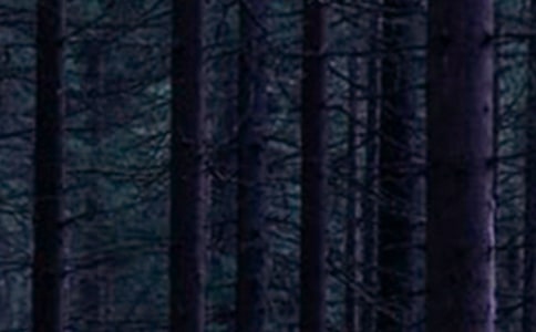 ��ɭ�ֱ����Ķ���з���