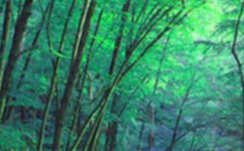 ɭ��������Ȼ�