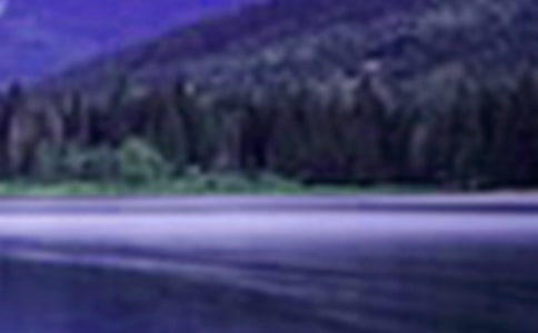 ��дɽˮ���Ĺ�ʫ15ƪ[����]