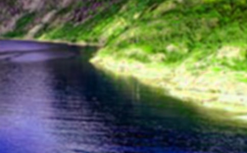 ɽˮ���Ĺ�ʫ110��