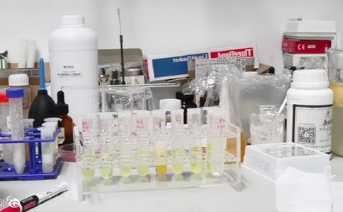 [��]ʵ���ҹ����ƻ�