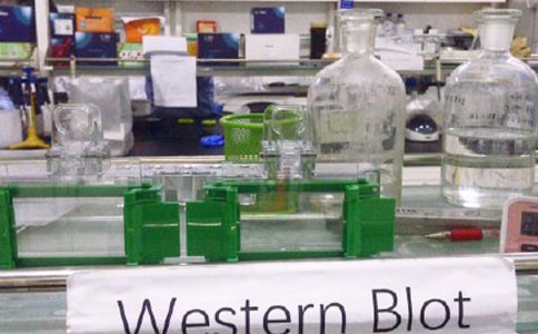 ��ѧʵ���ҹ����ƻ�(����15ƪ)