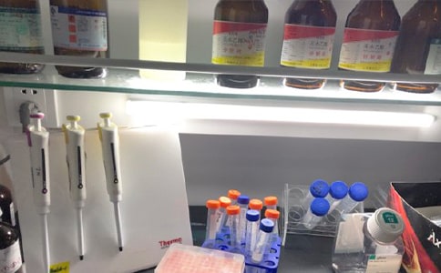 学校生物实验室标语中英版