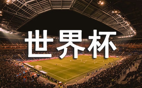 ���籭�������� 