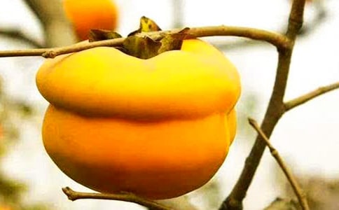 ���ڰ�ҹ������Ъ���ﾫѡ