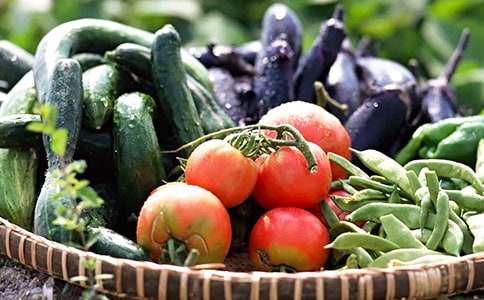 �߲˹�����ͬ������8ƪ��