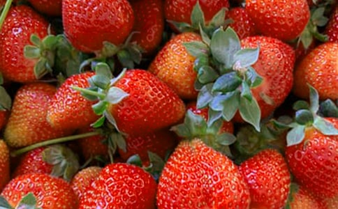 【精选】二年级水果作文300字3篇