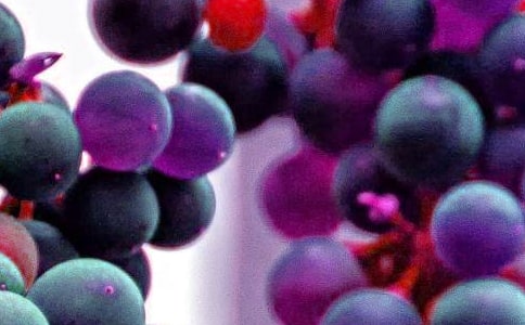 �йض��꼶ˮ�����ĺϼ���ƪ