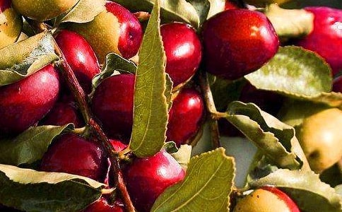 �йض��꼶ˮ�����ģ�ͨ��30ƪ��