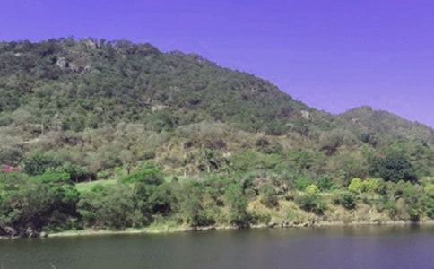 ˮ���Ѵ�����ܽ�10ƪ(ʵ��)