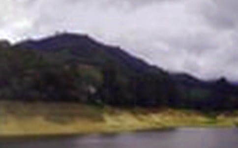 ������ˮ�����ģ���ѡ33ƪ��