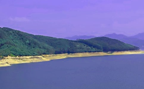 四年级描写水库的句子