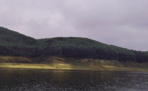 ȥˮ��������