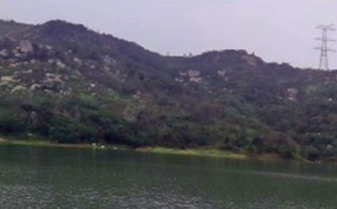 ˮ�⼼�ܴ�����������ģ�ͨ��5ƪ��