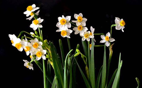 ��ˮ������