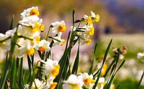 ˮ�ɻ����꼶����