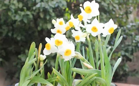 ˮ�ɻ�������5ƪ