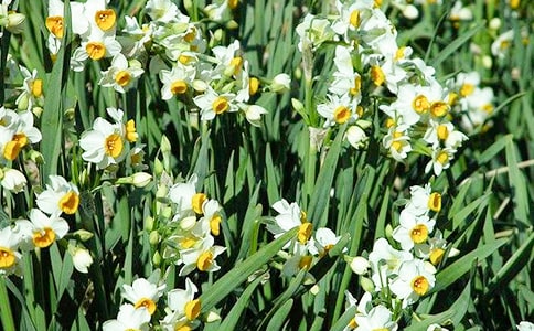 ˮ�ɻ��۲��ռ�