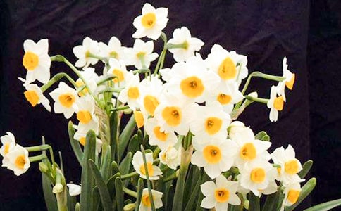 �й���дˮ�ɻ���ɢ�����3ƪ