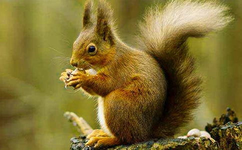 �����󡷽�ѧ���