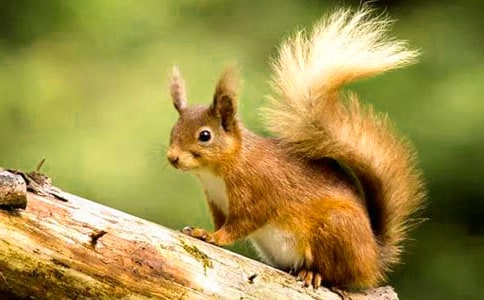 С����ͯ���������ļ���7ƪ