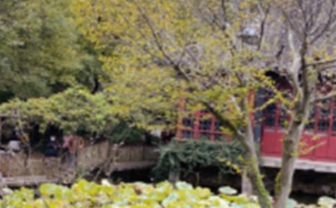 ���꼶�ϲ���ġ�����԰�֡���ѧ���