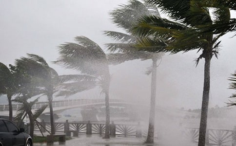 (�Ƽ�)̨������ο����