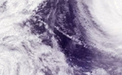 �ۿڷ�̨��Ӧ��Ԥ��ͨ�á�6ƪ��