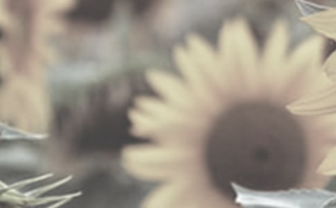 ��ѡ̫�������꼶���Ľ�����ƪ