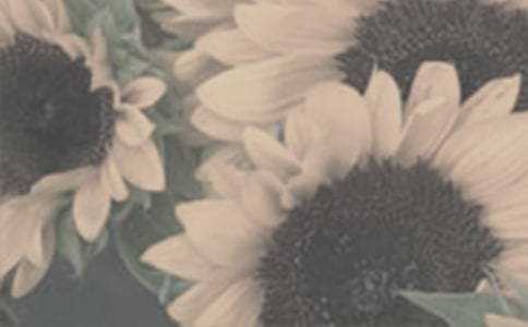 ̫�������꼶����6ƪ