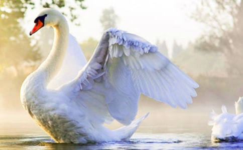 ������Ů�����Ķ���з���