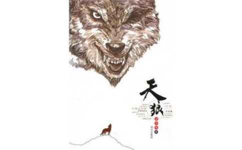 ���Ƕ����