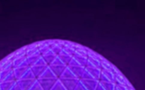 �ι����Ĺ�