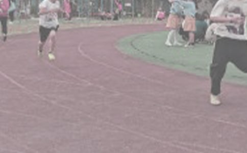 �ﾶ����������