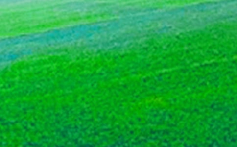 ���ر������꼶��Ұ����8ƪ