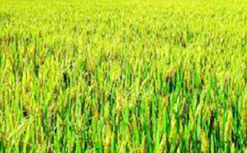 �����Ұ���꼶����