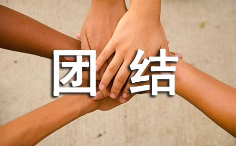 表示团结的成语