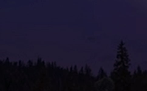 2021�꾭����������������QQժ¼84��