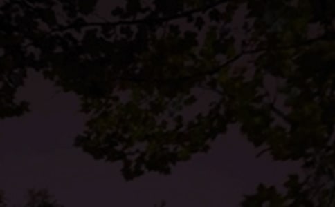 晚安土味情话(精选3篇)