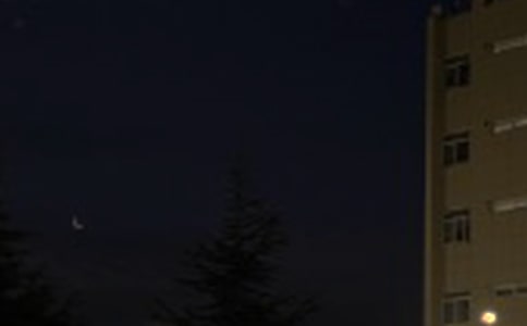 精选唯美的晚安心语语录44句