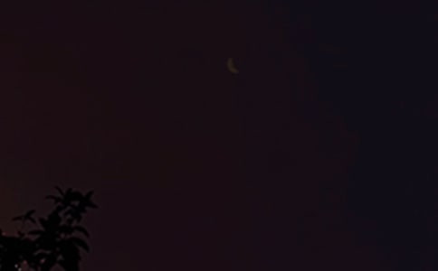 2023年精选每日一句晚安心语语录集锦71条