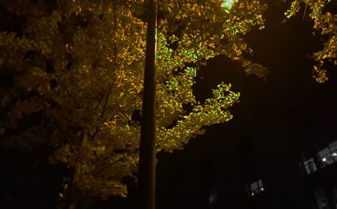 ����������������¼36��