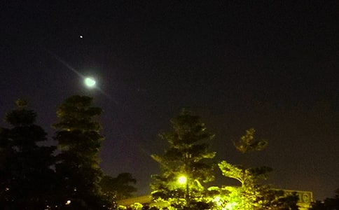 晚安正能量语录