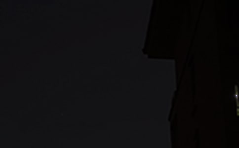 2020��Ψ������������ժ¼40��